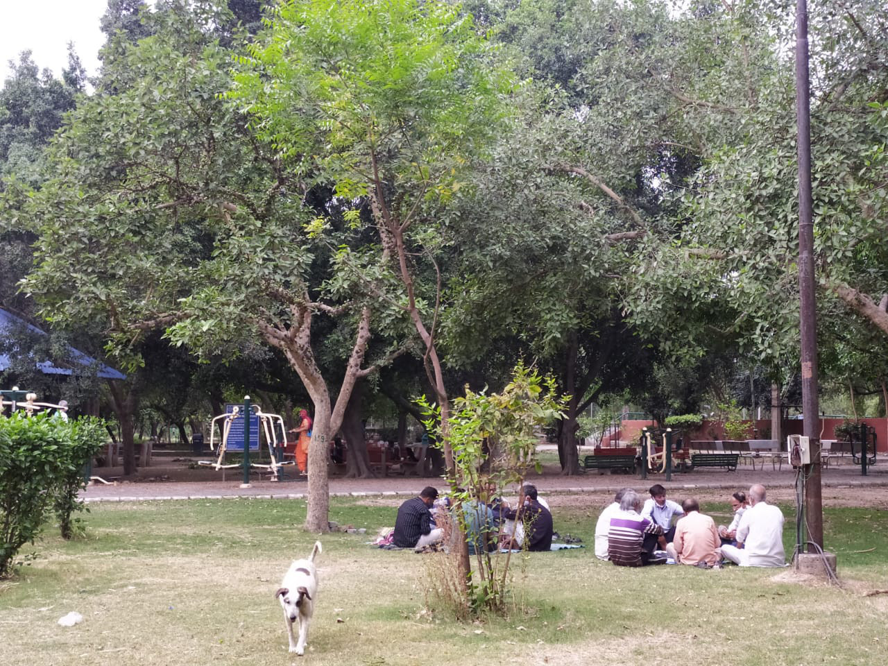 Delhi park